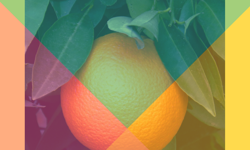 Ένα πορτοκάλι