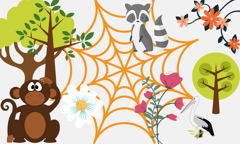 Παιχνίδι εμπειρικής μάθησης, ο ιστός της ζωής